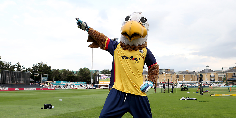 Eddie Eagle 1000 x 500